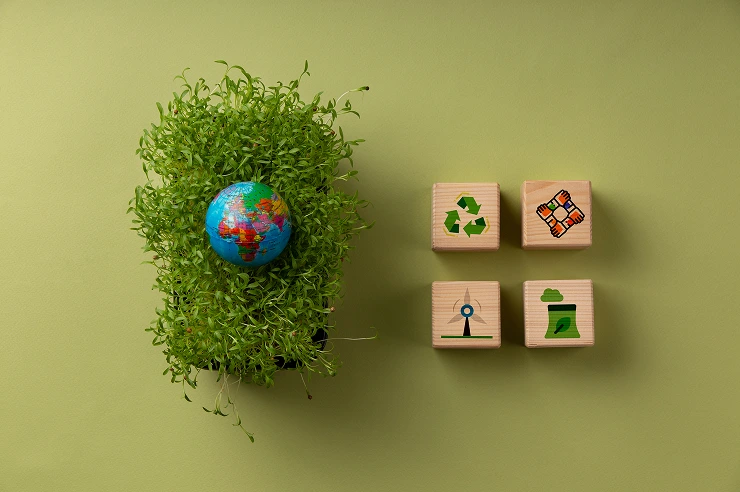 What is Net Zero? Understanding the Path to Carbon Neutrality